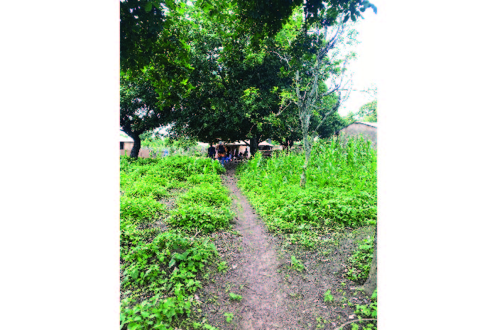 Agricultural Processing